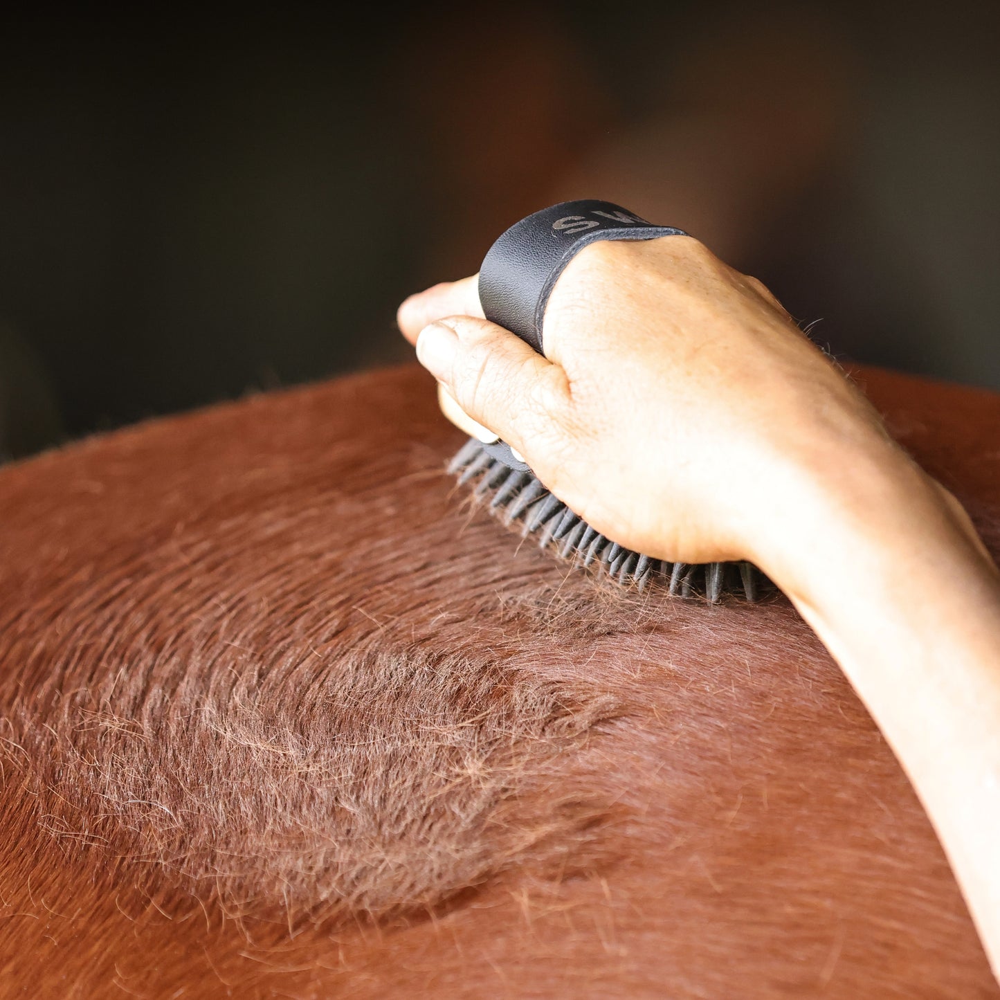 Petite 5 Piece Grooming Kit| by GeeGee COLLECTIVE