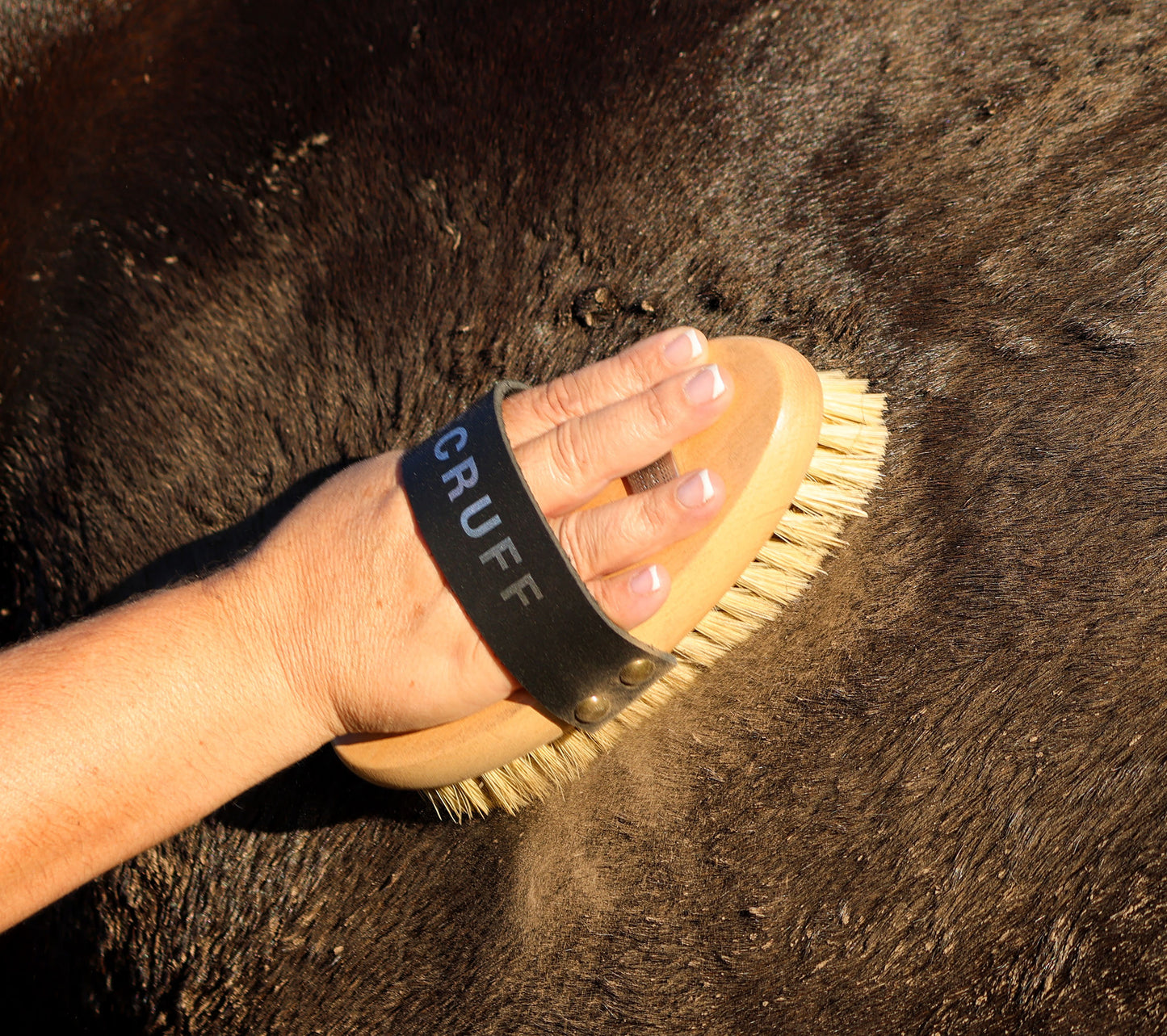 Gee Gee COLLECTIVE | Ultimate Grooming Kit