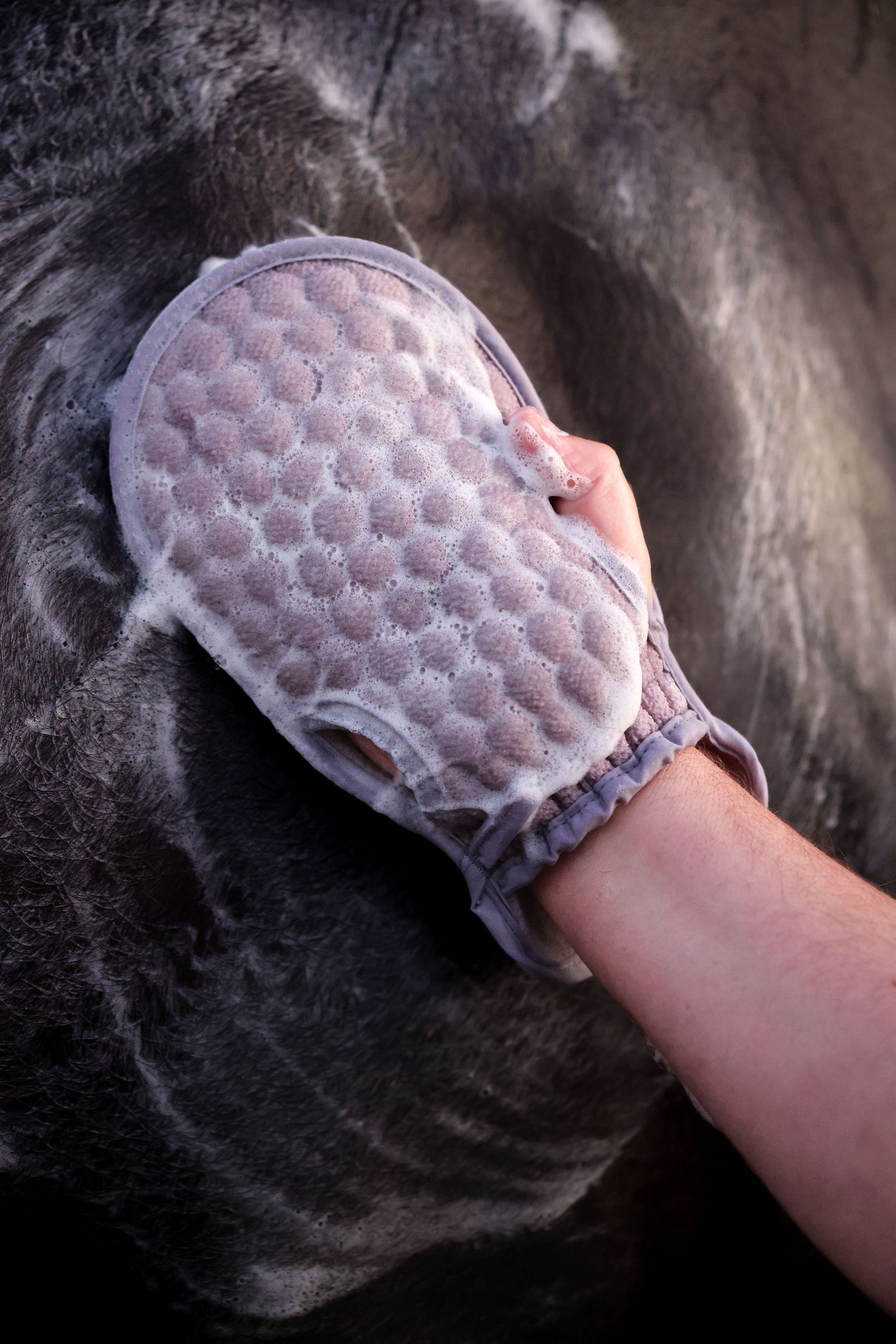 GeeGee COLLECTIVE | Sponge Mitt