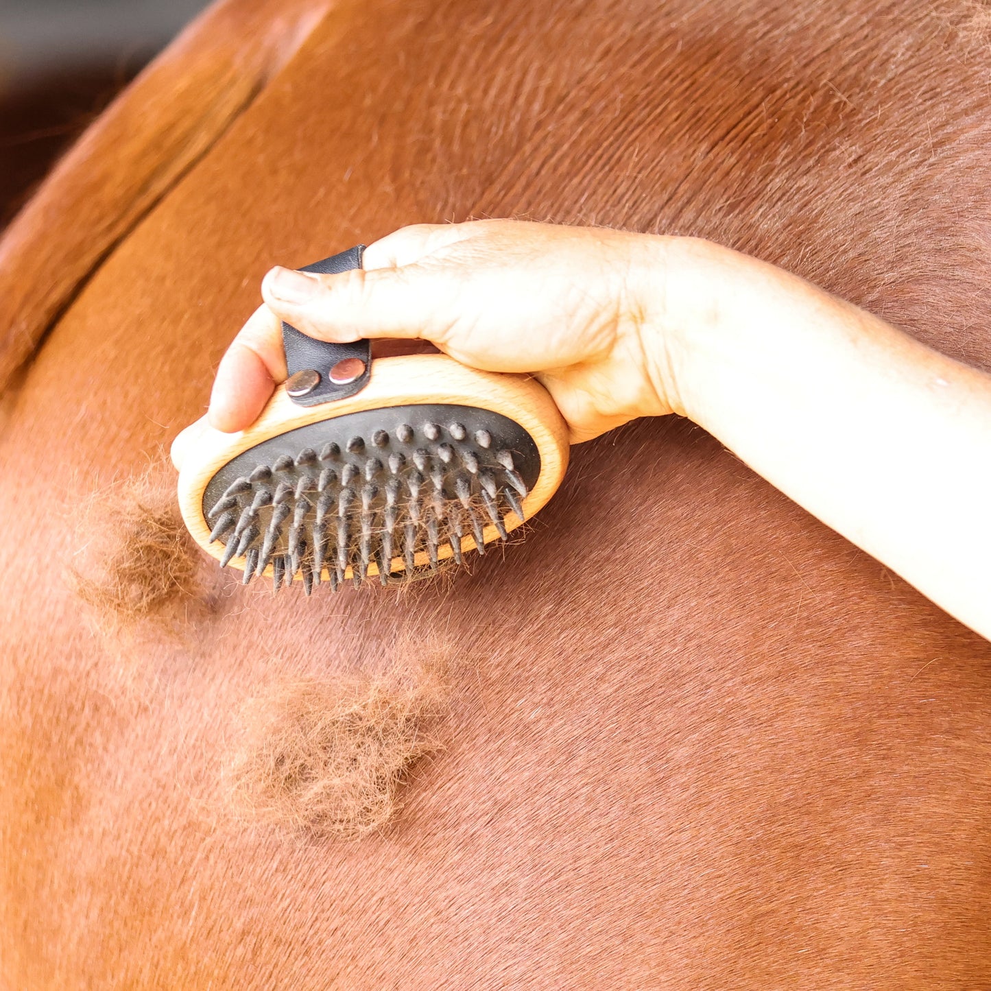 GeeGee COLLECTIVE | Swift Curry Comb