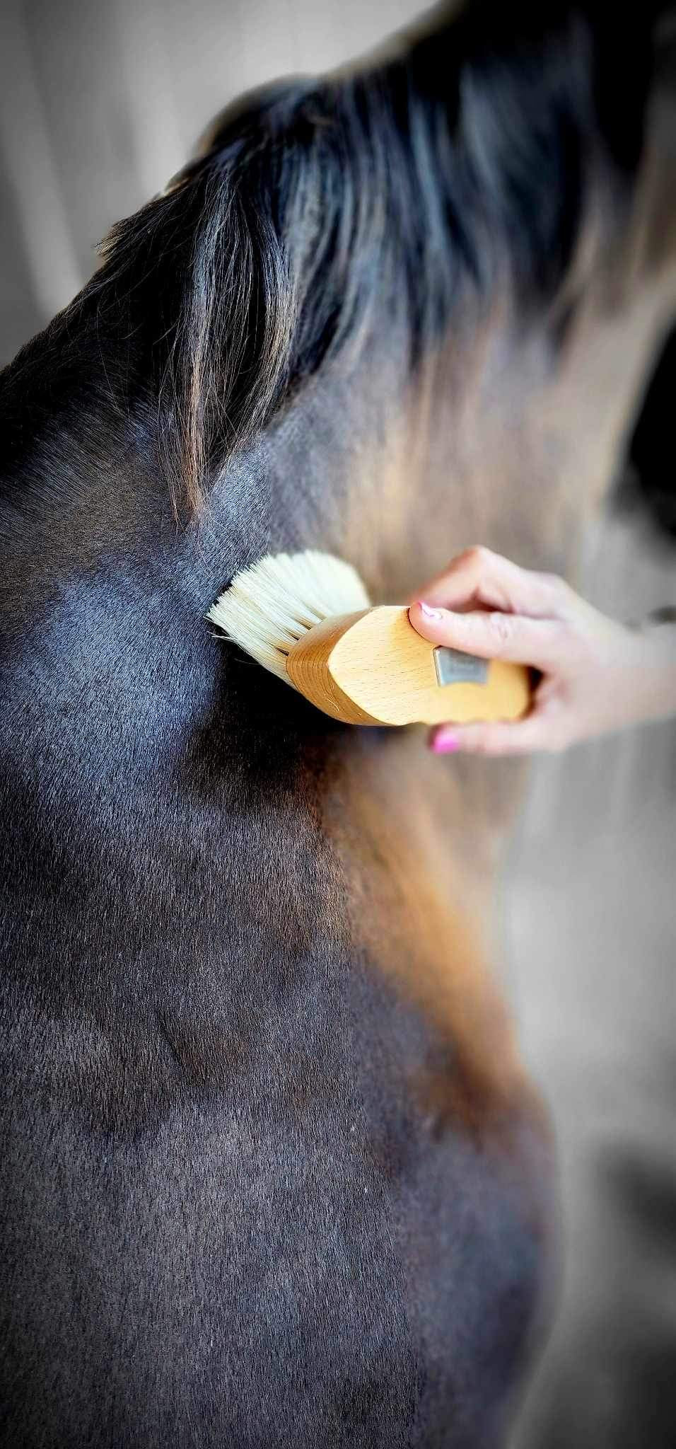 GeeGee COLLECTIVE | 'Versitile' Petite Body Brush