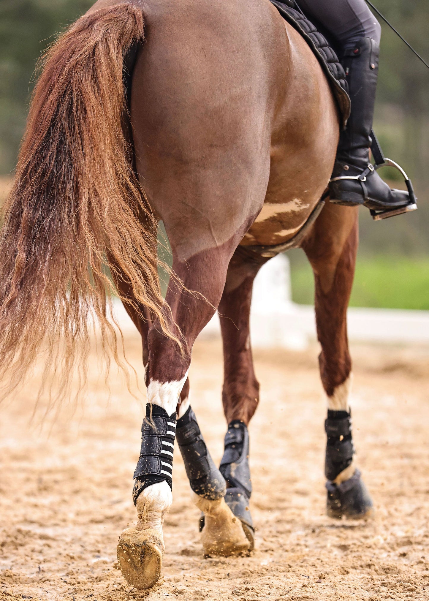 Aero | Cool Flow Brushing Boots | Black
