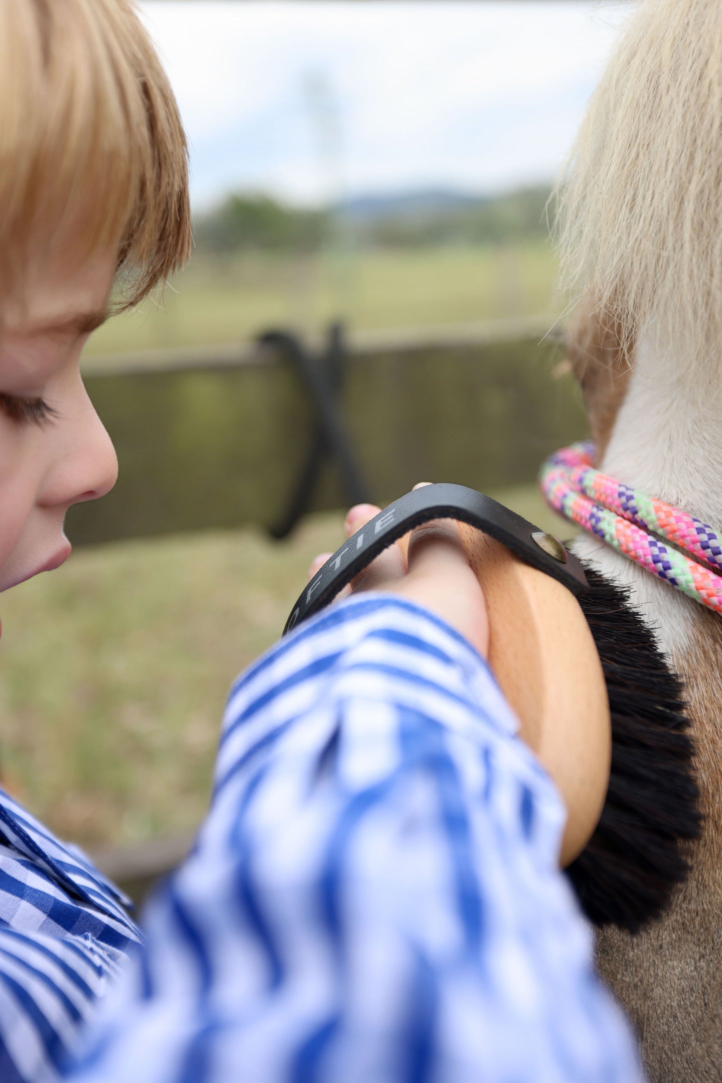 GeeGee COLLECTIVE | Softie Petite Face Brush