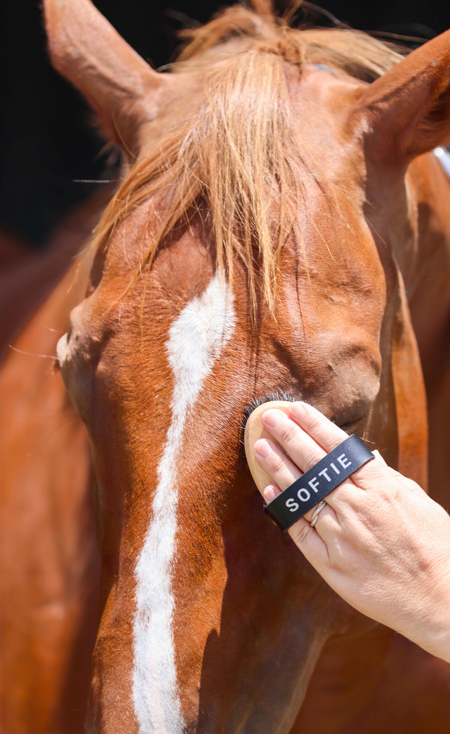 GeeGee COLLECTIVE | Softie Petite Face Brush